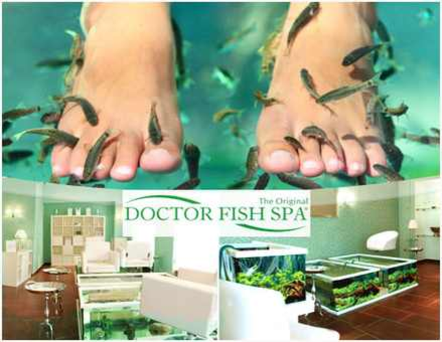 Pediküre Wellness mit Fußmassage bei Doctor Fish Spa in Berlin